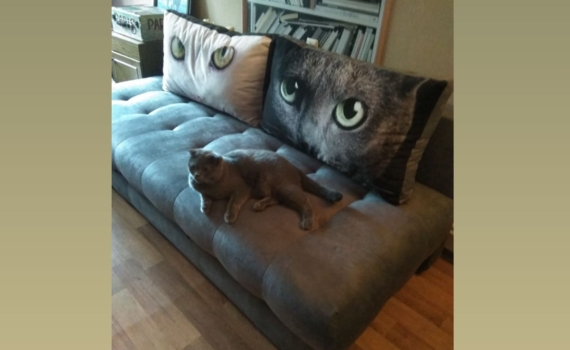 Натуральный освежитель воздуха своими руками: как создать аромат в доме — магия в каждой комнате