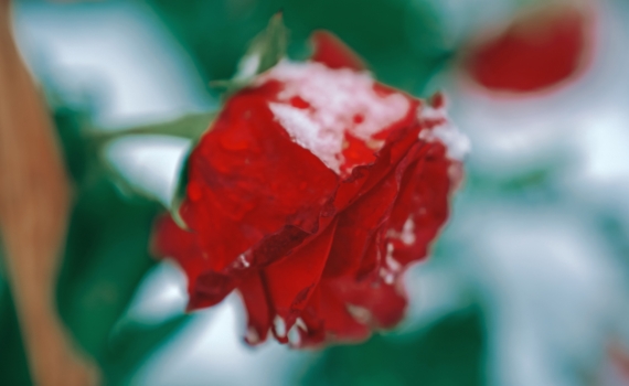 Не пропустите 26 ноября 2025: Луна шлет знаки, но 90% людей их не видят — магия 6 лунного дня