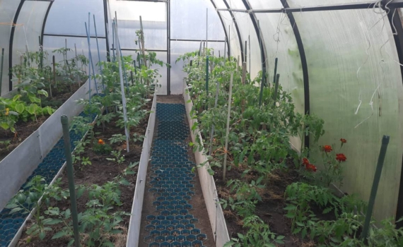 Теплица под угрозой: какие удобрения и средства разрушают поликарбонат — главные ошибки дачников Теплица под угрозой: какие удобрения и средства разрушают поликарбонат — главные ошибки дачников